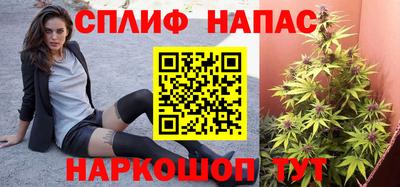 амф Камышлов