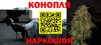амф Камышлов