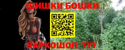 СК Канаш
