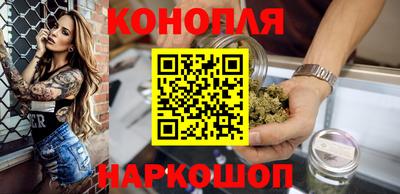 амф Камышлов