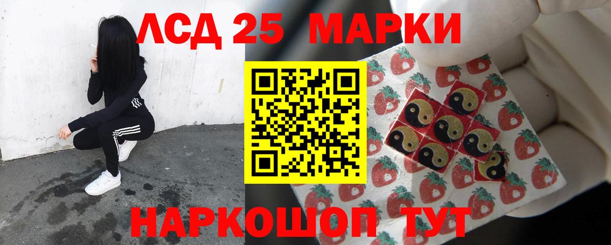 Галлюциногенные грибы Королёв