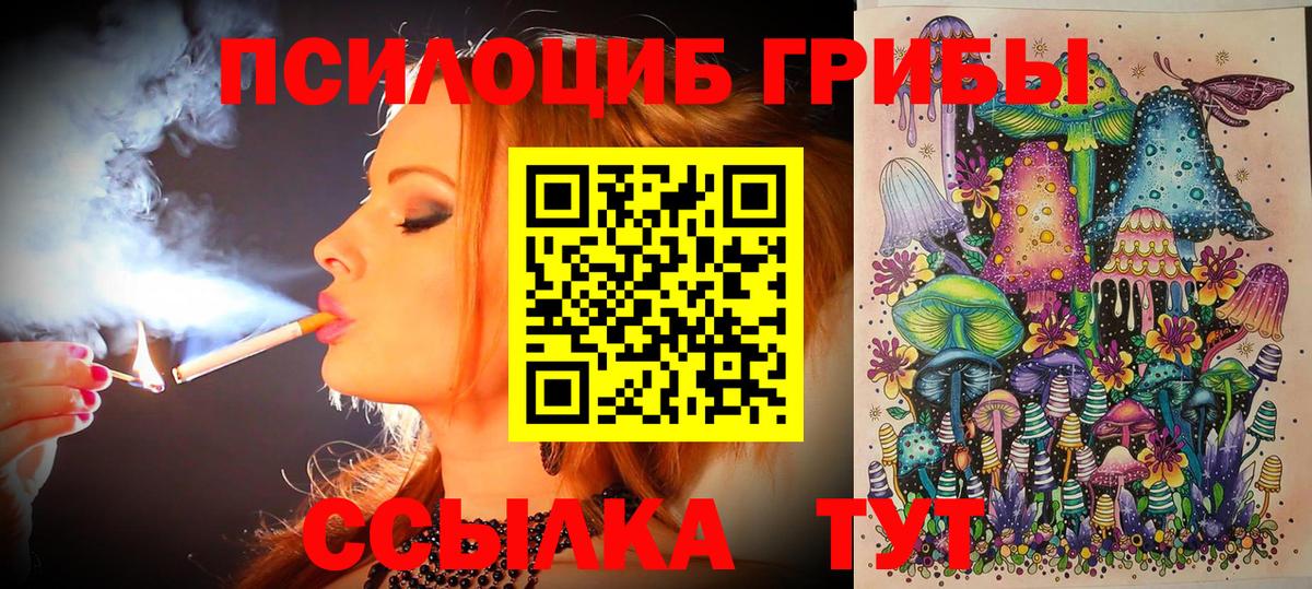 Королёв  Псилоцибиновые грибы Cubensis  Вход с VPN  наркота  Галлюциногенные грибы мухоморы 