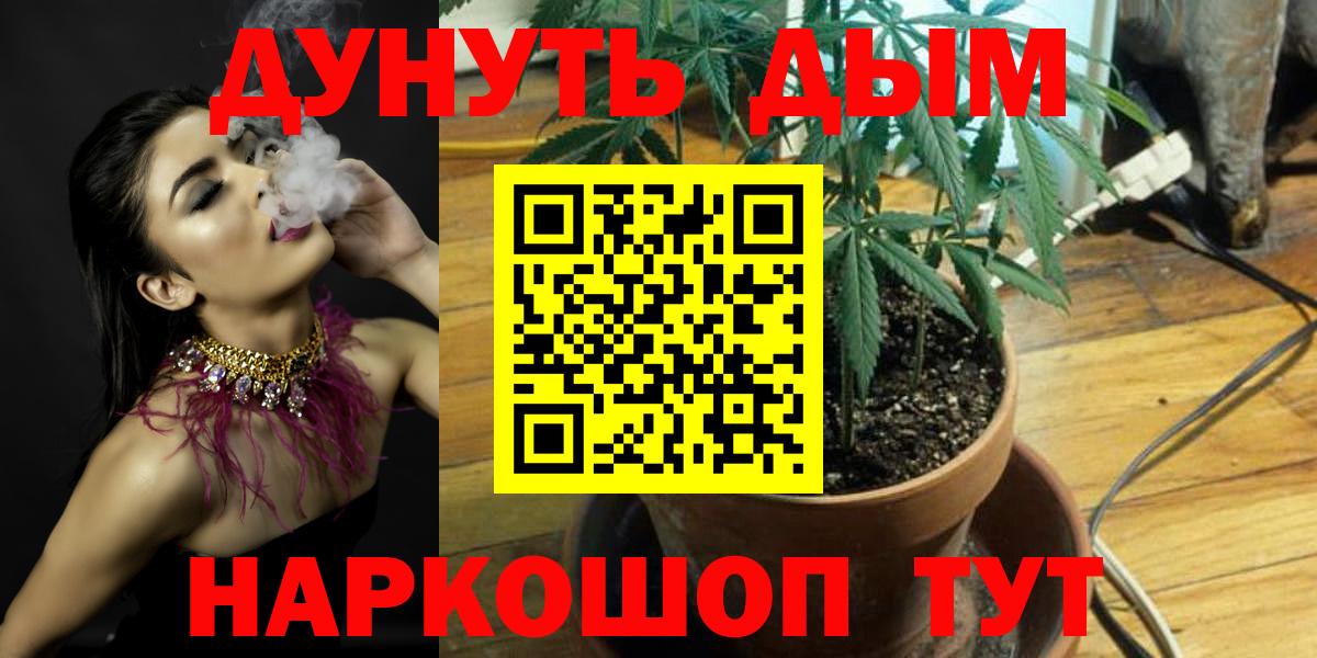 Королёв  Канабис THC 21%  Каннабис OG Kush  Каннабис план  Вход с VPN 