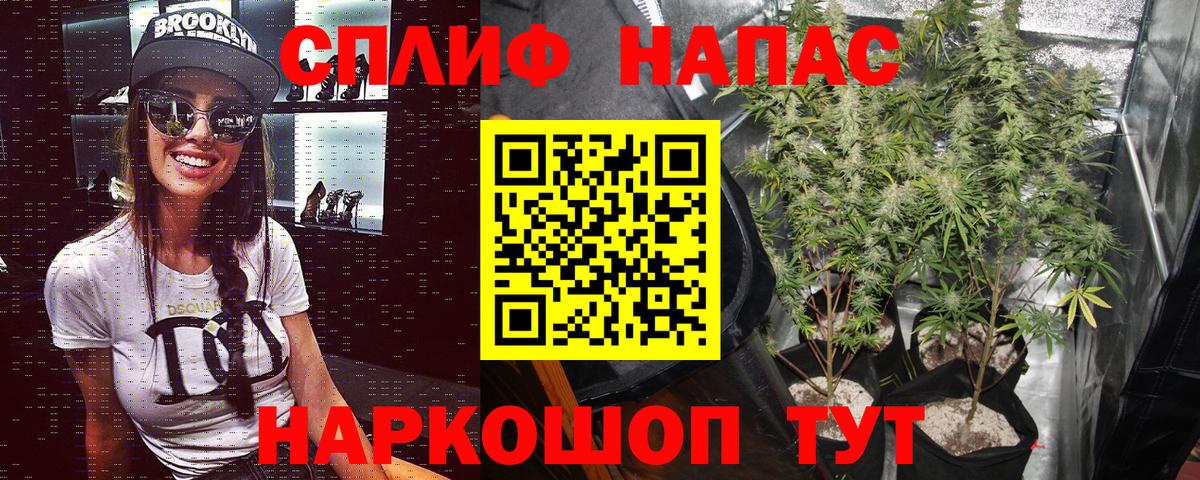 Марихуана конопля Королёв